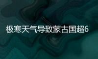 极寒天气导致蒙古国超61万头牲畜死亡